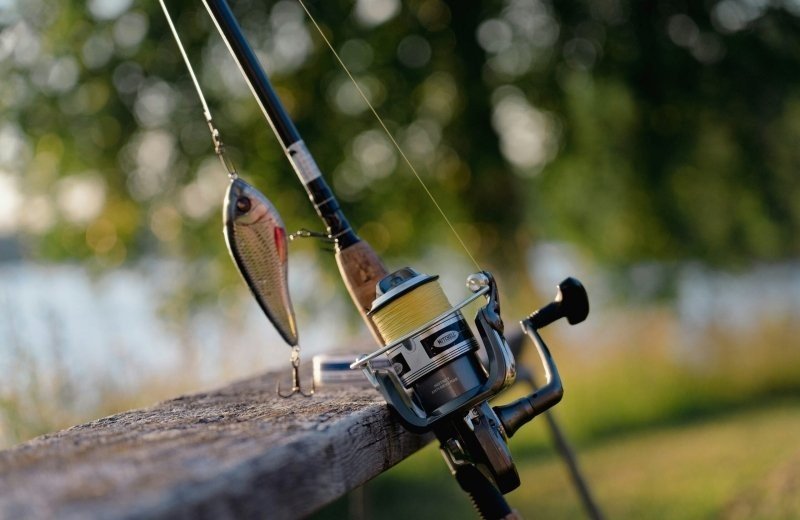 Niclas lundin uajnfzmpqli unsplash