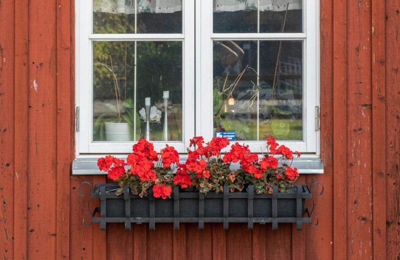 Astrid Lindgren Näs